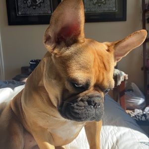 Meet your Posher, Reuben